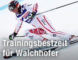 Michael Walchhofer