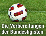 Ball auf Rasen