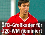 Österreichischer Fußballer Aleksandar Dragovic