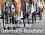 Fahrradfahrer