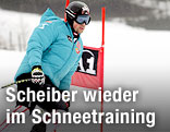 Mario Scheiber