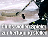 Eishockeysujet