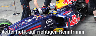 Sebastian Vettel im Rennauto umgeben von Red-Bull-Teammitarbeitern