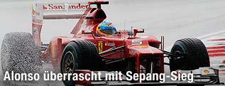 Fernando Alonso