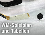 Eishockeyschläger und Puck