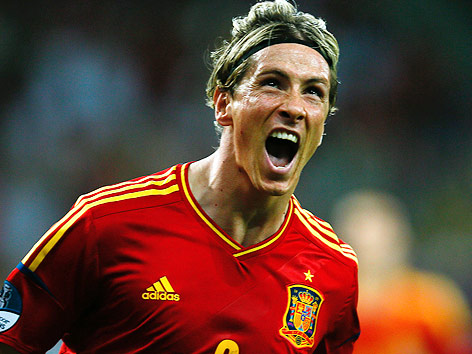 © Reuters/Kai Pfaffenbach Jubel von Fernando Torres (Spanien)