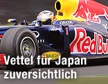 Sebastian Vettel im Rennauto