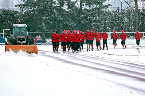 Trainingsstart bei Admira