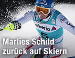 Marlies Schild