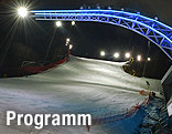 Zielhang in Schladming