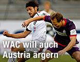 Michele Polverino (WAC) und Tomas Jun (Austria Wien)