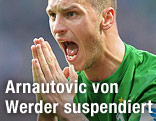 Marko Arnautovic (Werder)