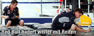 Red-Bull-Ingenieur bei der Reifen&uuml;berpr&uuml;fung