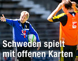 Teamchef Erik Hamren (SWE)