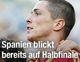 Fernando Torres
