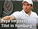 Alexander Peya