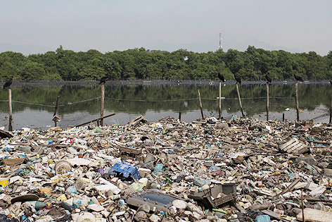© APA/AP/Felipe Dana Verschmutzte Buch Guanabara, Brasilien