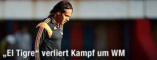 Radamel Falcao