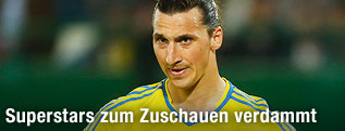 Zlatan Ibrahimovic (Schweden)