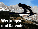 Skispringer