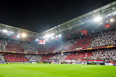 © ORF.at/Dominique Hammer Fans in der Red Bull Arena