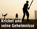 Kricketspieler im Sonnenuntergang