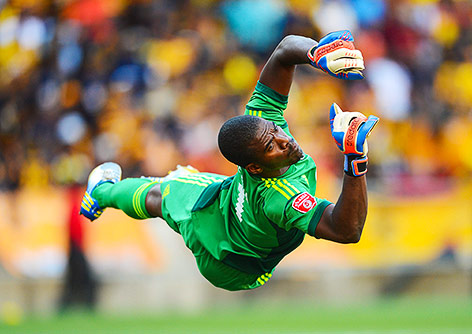 © APA/EPA/Barry Aldworth Archivbild des südafrikanischen Teamgolies Senzo Meyiwa