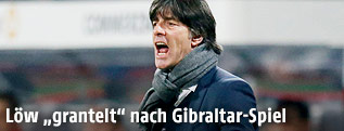Deutschlands Teamchef Joachim Löw