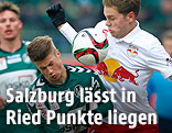 Patrick M&ouml;schl (Ried) und Benno Schmitz (Salzburg)