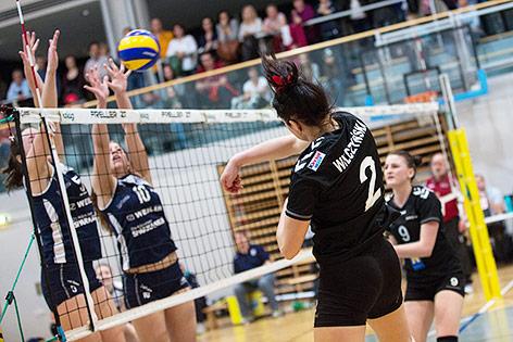 © GEPA/Matic Klansek Marzena Wilczynska (SVS Post) gegen ATSC Wildcats Klagenfurt