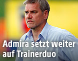 Admira-Trainer Ernst Baumeister