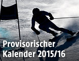 Skifahrer auf der Piste