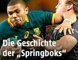 Bryan Habana (Südafrika)