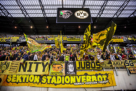 © ORF.at/Christian Öser BVB-Fans