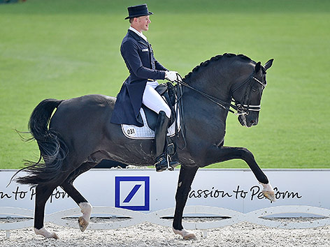 © APA/AP/Martin Meissner Pferd Totilas