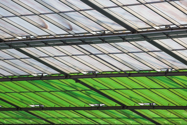 Gleichenfeier auf der Baustelle des Allianz Stadions