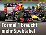 Daniel Ricciardo (Infiniti Red Bull Racing)