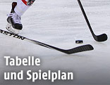 Eishockeyschl&auml;ger und Puck