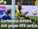 Adrian Ramos (Dortmund) und HSV-Tormann Jaroslav Drobny