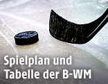 Eishockeyschläger und Puk