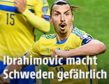 Zlatan Ibrahimovic (Schweden)