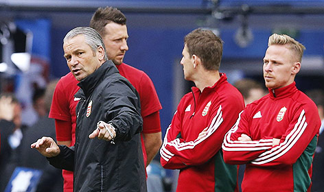 Ungarns Coach  Bernd Storck