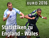 Ashley Williams (Wales) und Harry Kane (England)