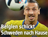 Zlatan Ibrahimovic (Schweden)