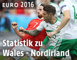 Szene aus dem Spiel Wales - Nordirland