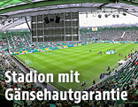 Stadion
