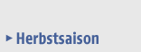 Zur Story