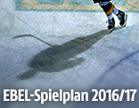 Silhoutte eines Eishockeyspielers