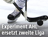 Puck und Schl&auml;ger