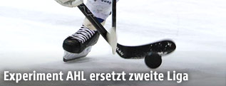 Puck und Schl&auml;ger